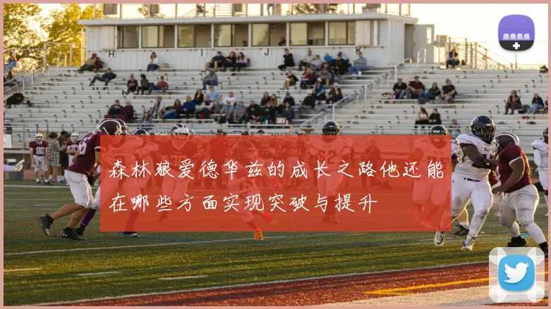 森林狼爱德华兹的成长之路他还能在哪些方面实现突破与提升